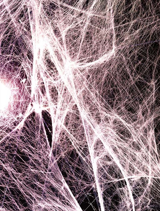 Fasciathérapie à Marseille