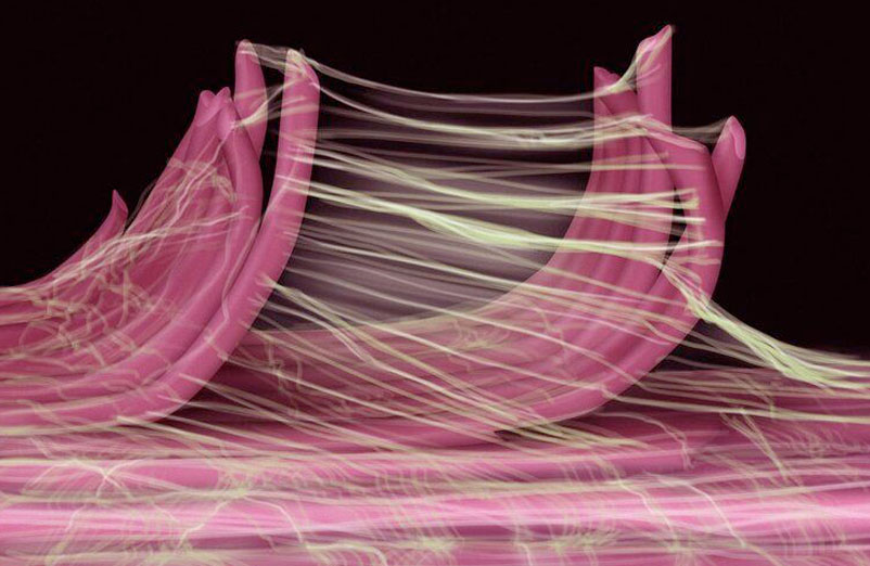 Séance de fasciathérapie à Marseille